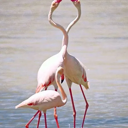 Sea View * クアルトゥ・サンテーレナ